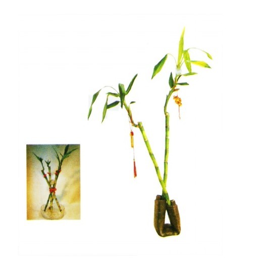 中式装修风水吉祥物